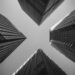 Black and white image of a view of tall buildings that look like skyscrapers from the ground